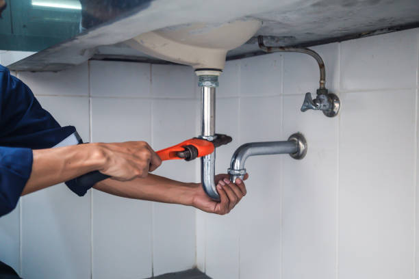 Best Local Plumber Services  in Riceville, TN